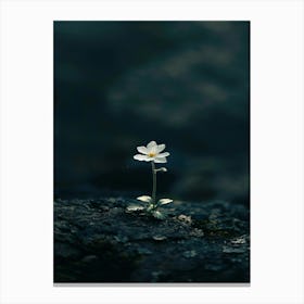 White Flora 5 Canvas Print