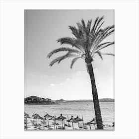 Palm tree Black And White Photo Canvas Print