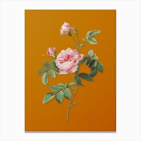 Vintage Pink Rose Turbine Botanical on Sunset Orange n.0309 Canvas Print