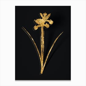 Vintage Spanish Iris Botanical in Gold on Black n.0092 Canvas Print