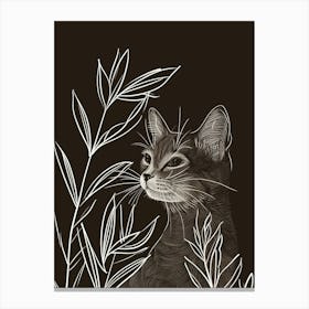 European Shorthair Cat Minimalist Illustration 1 Canvas Print