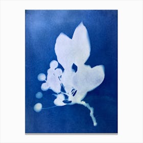 'Blue Flower' Canvas Print