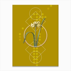 Vintage Cowslip Cupped Daffodil Botanical with Geometric Line Motif and Dot Pattern Canvas Print