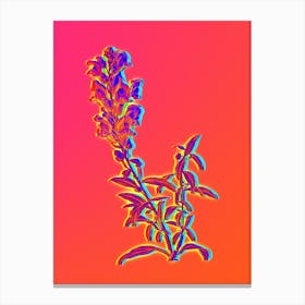 Neon Red Dragon Flowers Botanical in Hot Pink and Electric Blue n.0552 Canvas Print
