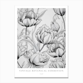 Tulip B&W Vintage Botanical Poster Canvas Print