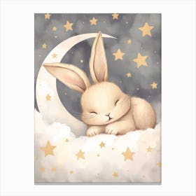 Sleeping Baby Bunny 2 Canvas Print