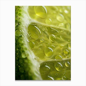 Water Droplets On Lime 2 Canvas Print