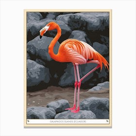 Greater Flamingo Galapagos Islands Ecuador Tropical Illustration 2 Poster Canvas Print
