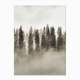 Misty Evergreen Trees Canvas Print