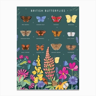 British Butterflies Canvas Print