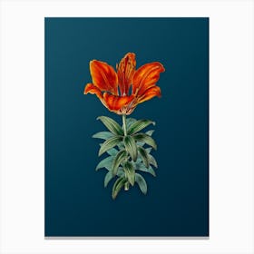 Vintage Blood Red Lily Flower Botanical Art on Teal Blue n.0442 Canvas Print