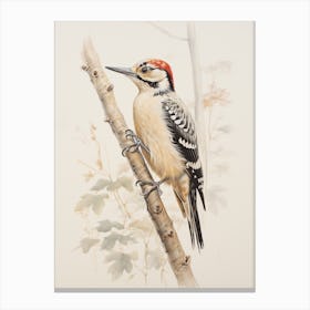 Vintage Bird Drawing Woodpecker 2 Canvas Print