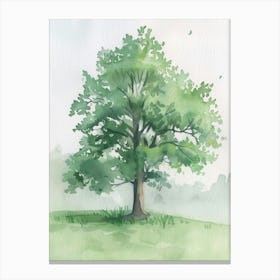 Lime Tree Atmospheric Watercolour Painting 2 Canvas Print