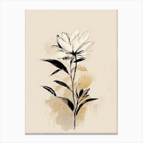 Asters Flowers, Ink On Paper Drawing 1 Canvas Print