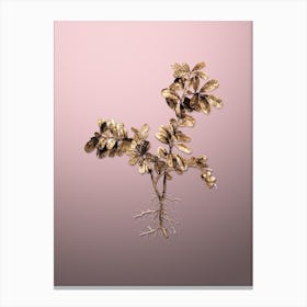 Gold Botanical Lingonberry on Rose Quartz n.2240 Canvas Print