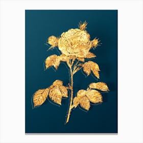 Vintage Vintage Rosa Alba Botanical in Gold on Teal Blue n.0295 Canvas Print
