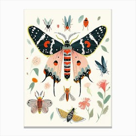 Colourful Insect Illustration Moth 15 Canvas Print