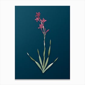 Vintage Bugle Lily Botanical Art on Teal Blue n.0663 Canvas Print