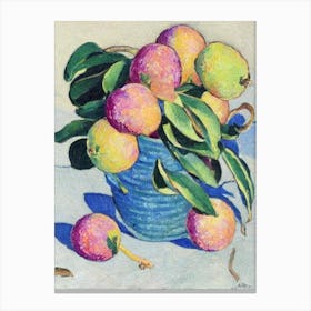 Lychee Vintage Sketch Fruit Canvas Print