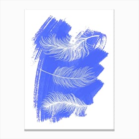 Blue Feathers Canvas Print