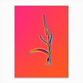 Neon Ixia Plantaginea Botanical in Hot Pink and Electric Blue Canvas Print