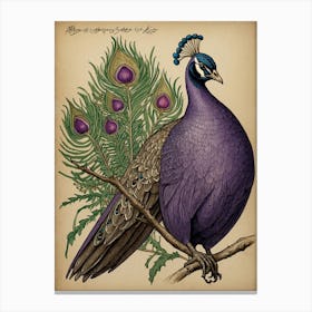 Peacock 2 Canvas Print