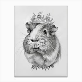 Guinea Pig 3 Canvas Print