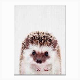Peekaboo Hedgehog Canvas Print