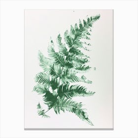 Green Ink Painting Of A Rabbits Foot Fern 2 Canvas Print