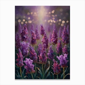 Lavender Field At Night Canvas Print