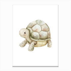 Turtle Canvas Print