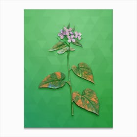 Vintage Morning Glory Flower Botanical Art on Classic Green n.1209 Canvas Print