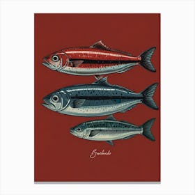 Three Fish Canvas Print