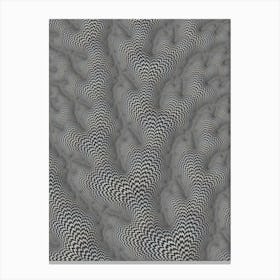 3d Optical Illusion Canvas Print