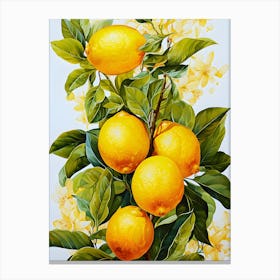 Citrus Celebration Sliced Euphoria Canvas Print