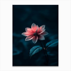 Dahlia Flower 13 Canvas Print