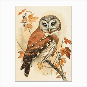 Northern Saw Whet Owl Vintage Illustration 4 Canvas Print
