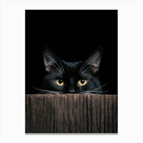 Black Cat Peeking Over Wooden Fence Canvas Print