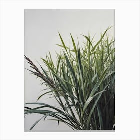 Sassafras Canvas Print