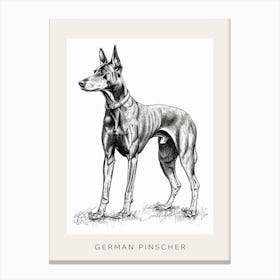 German Pinscher Dog Line Art 3 Poster Canvas Print