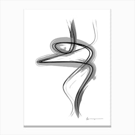 Spiral Strokes 4 Canvas Print
