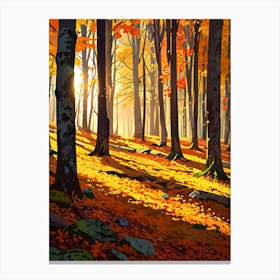 Autumn Forest 7 Canvas Print