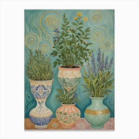 Pots Of Plants Canvas Print