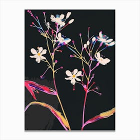 Neon Flowers On Black Babys Breath 9 Canvas Print