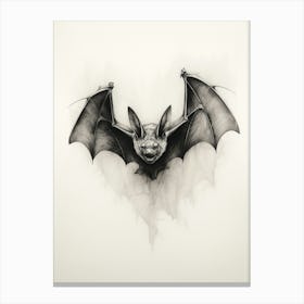 Flying Fox Bat Vintage Illustration 3 Canvas Print