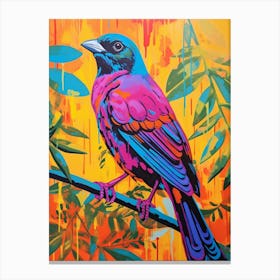Colourful Bird Painting Cowbird 3 Canvas Print