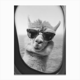 Funny Lama Black And White Lienzo