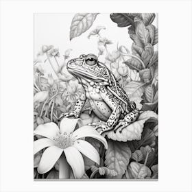 Leopard Frog Botanical 1 Canvas Print