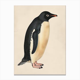 Adlie Penguin Ross Island Vintage Botanical Painting 1 Canvas Print