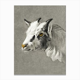 Head Of A Goat, Jean Bernard Canvas Print